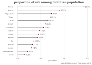 Chart of proportion of ash trees to overall tree population. Kinney 57.1%; Virginia 36.3%; Hoyt Lakes 29.2%; Tower 28.1%; Buhl 26.1%; Eveleth 23.9%; Chisholm 22.4%; Gilbert 18.9%; Biwabik 17.4%; Ely 13.9%; Babbitt 12.7%; Aurora 12%; Mountain Iron 8.6%; Cook 6.2%